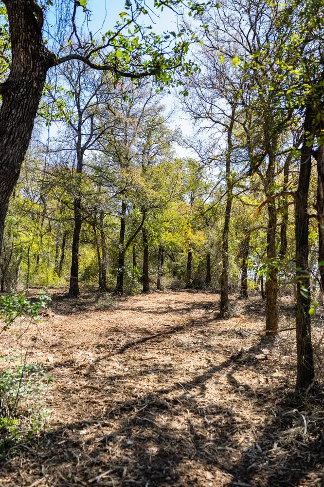 Affordable landscape installation for residential properties in Robinson, TX by Apache Mulching