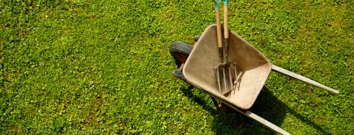 Affordable lawn care service experts serving Tallahassee, FL - Apache Outdoor Services