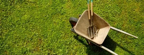 Professional lawn mowing service in Tallahassee, FL by Apache Outdoor Services