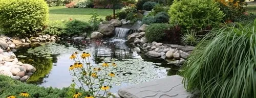 Reliable landscaping services in Tallahassee, FL by Apache Outdoor Services