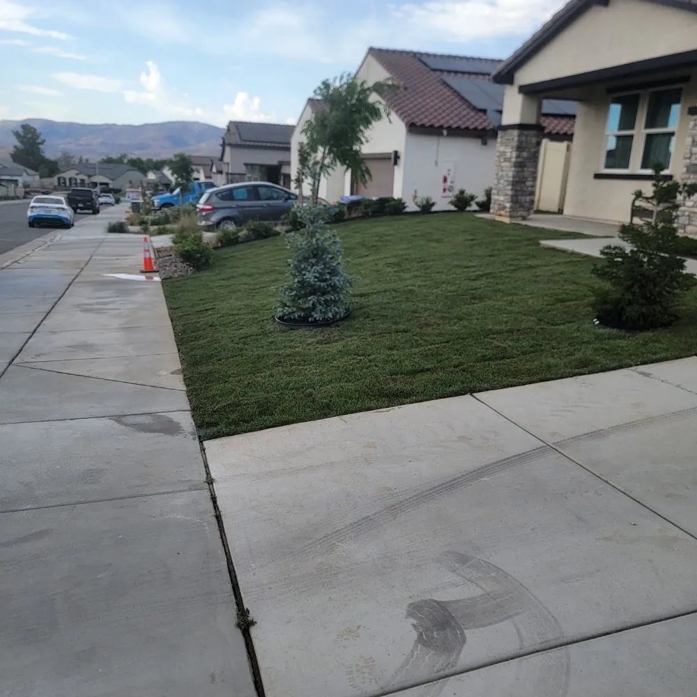 Custom garden landscaping experts serving Panorama City, CA - Aparicio Gardening