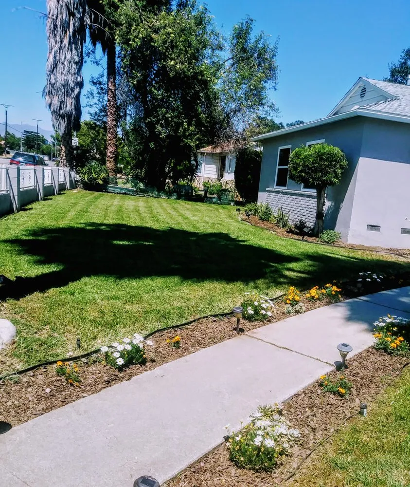 Custom residential landscaping experts serving Panorama City, CA - Aparicio Gardening