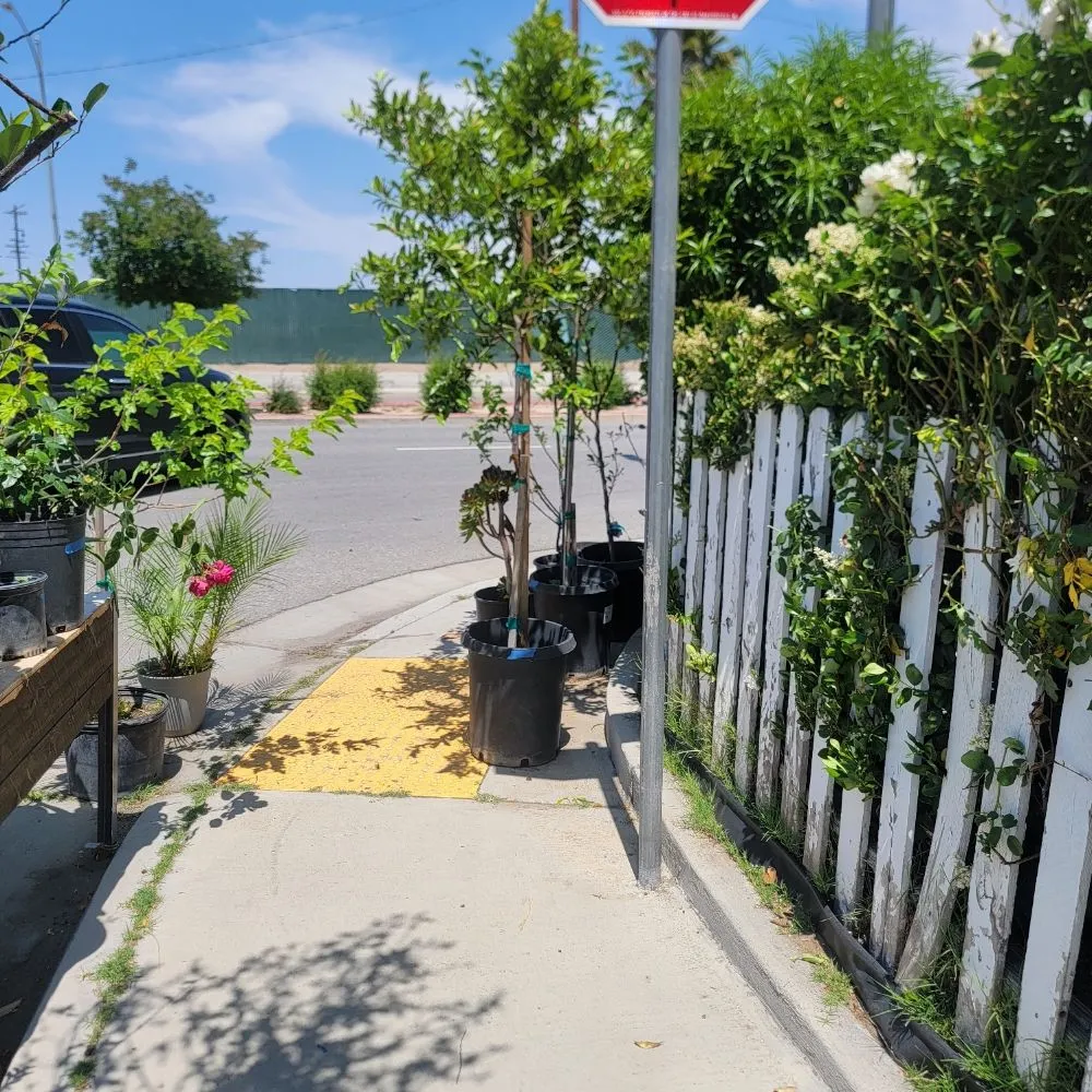 Professional landscape design experts serving Panorama City, CA - Aparicio Gardening