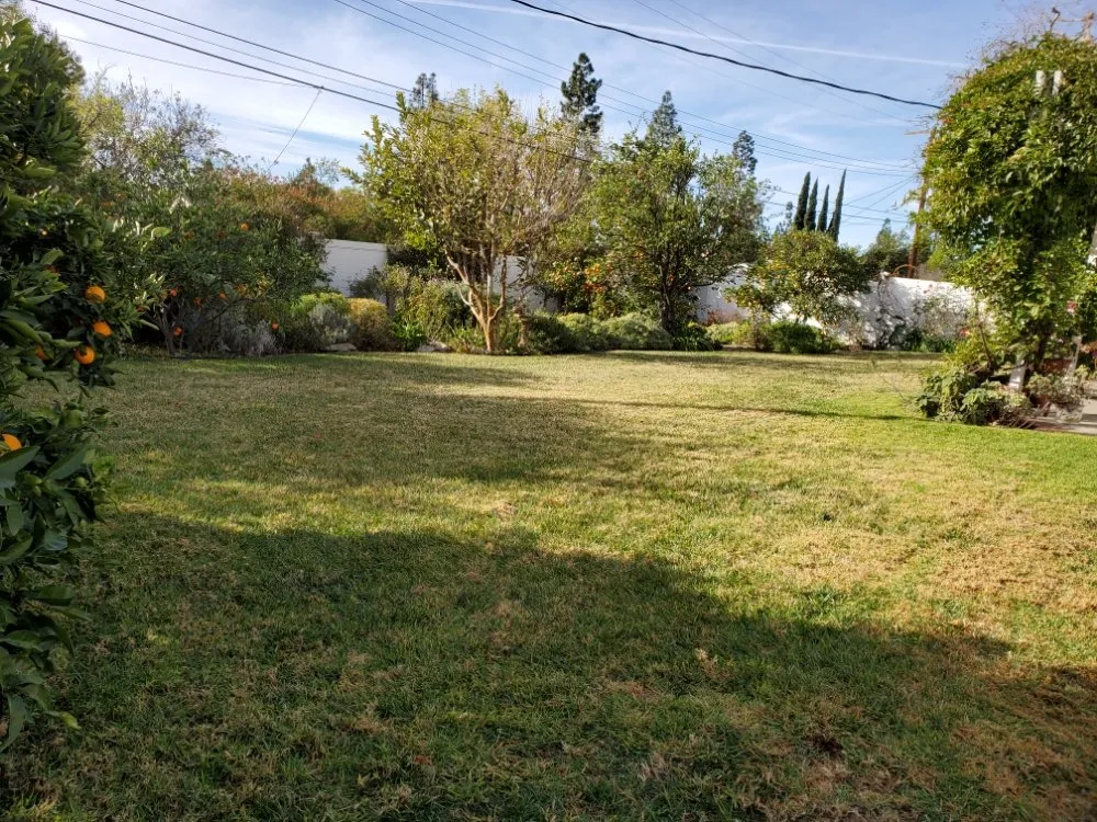 Reliable yard cleanup service in Panorama City, CA by Aparicio Gardening