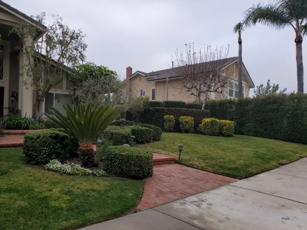 Reliable landscaping services experts serving Panorama City, CA - Aparicio Gardening