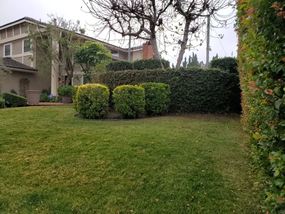 Professional garden landscaping for year-round maintenance across Panorama City, CA - Aparicio Gardening