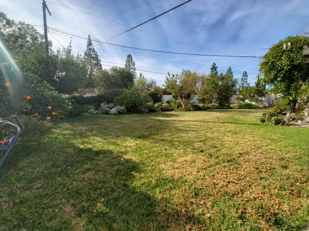 Local lawn care service for homes in Panorama City, CA by Aparicio Gardening