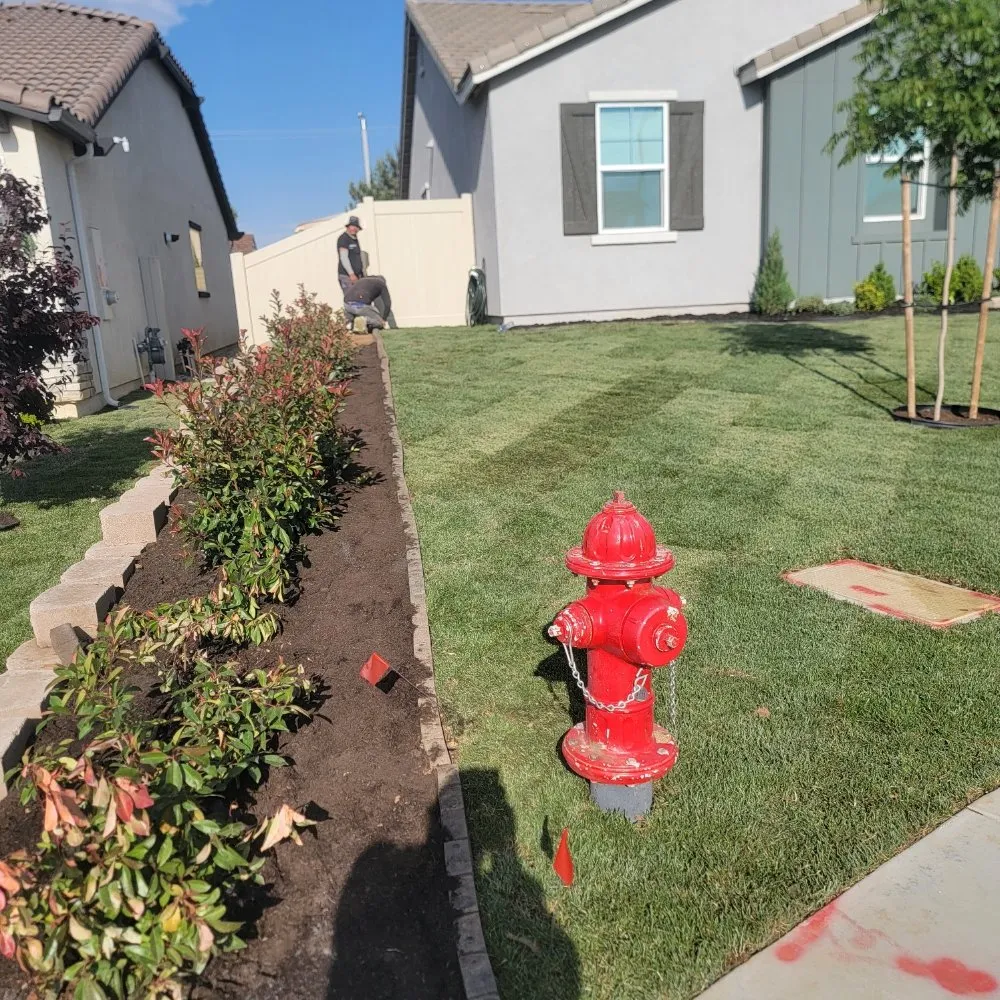 Local lawn mowing service in Panorama City, CA by Aparicio Gardening