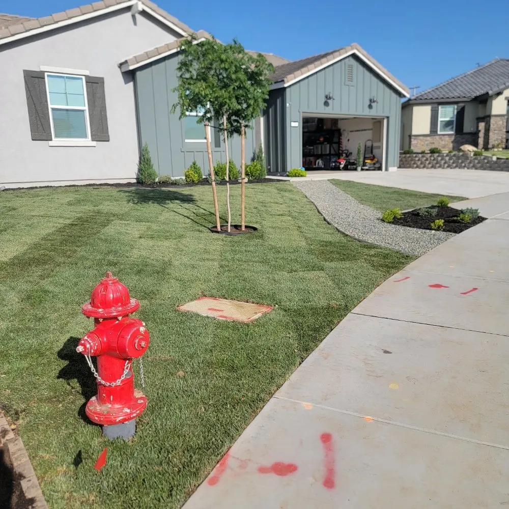 Affordable outdoor landscaping experts serving Panorama City, CA - Aparicio Gardening