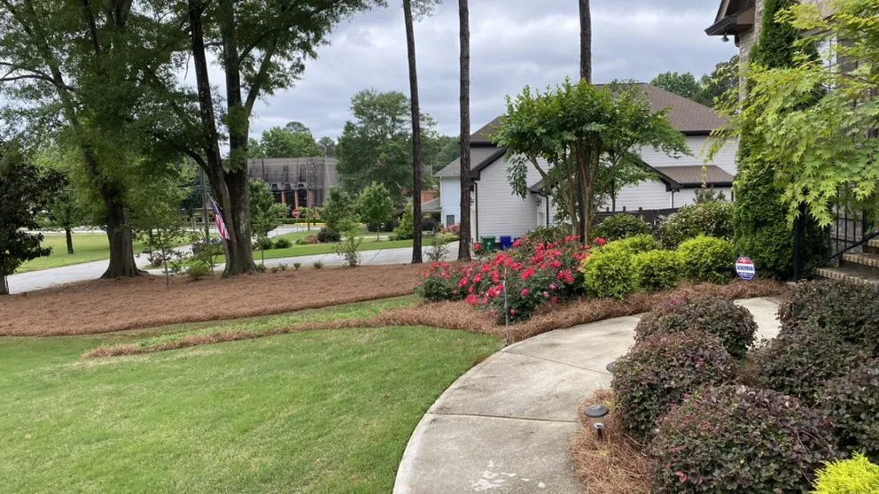 Expert yard cleanup service in Tucker, GA by Aparicio Landscape