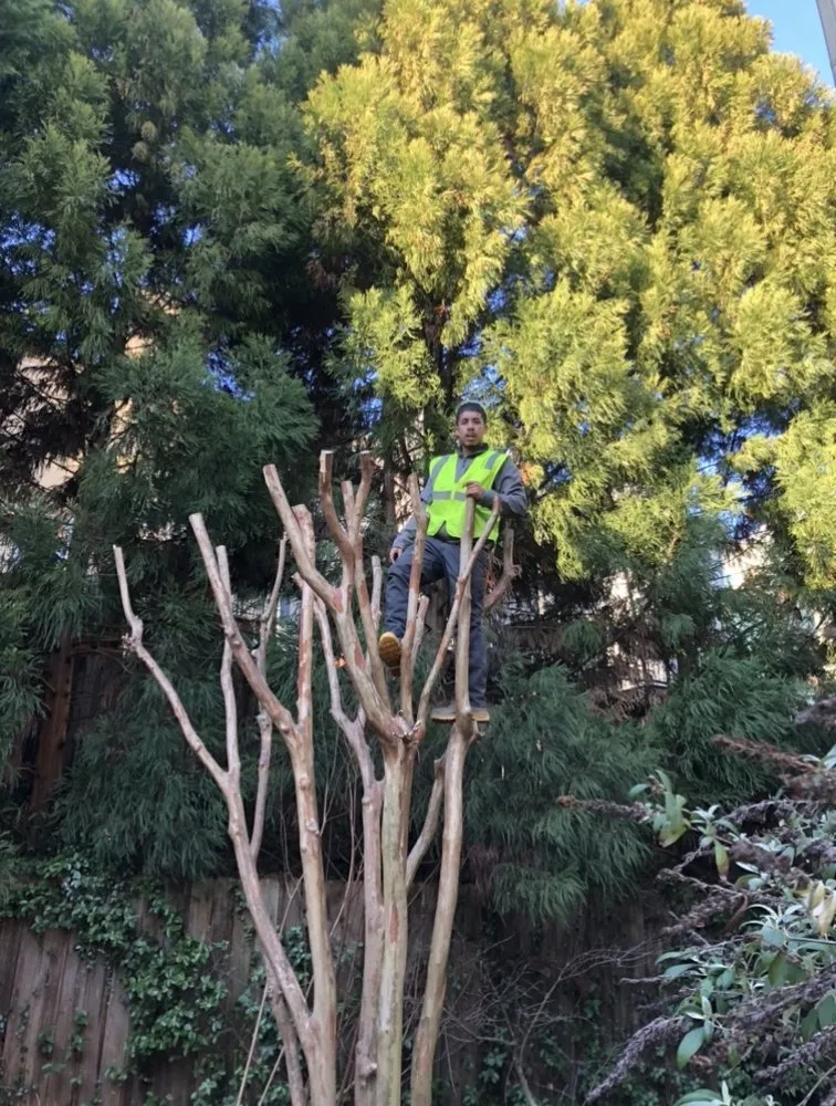 Custom landscaping services near you across Tucker, GA - Aparicio Landscape