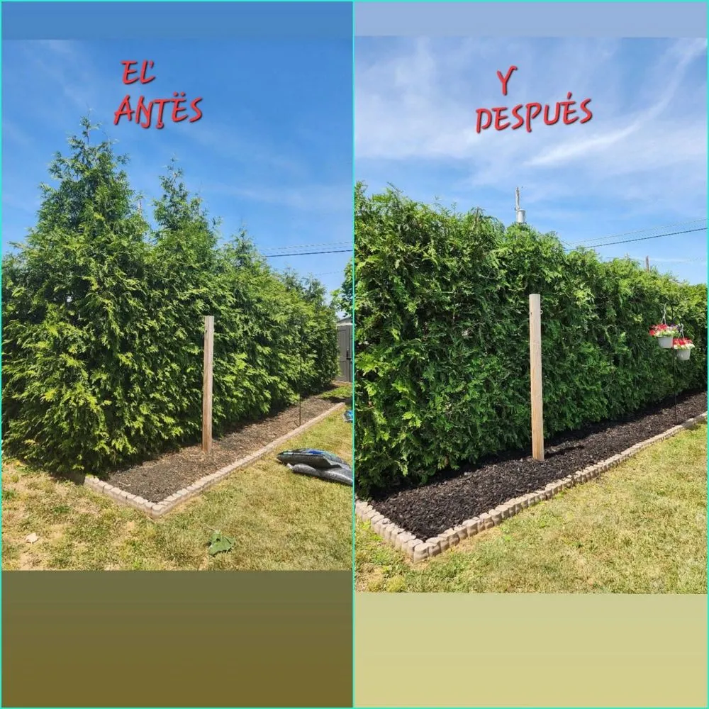 Affordable landscape design with custom design across Winchester, VA - Aparicio Landscape