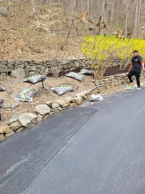 Aparicio Landscape Logo