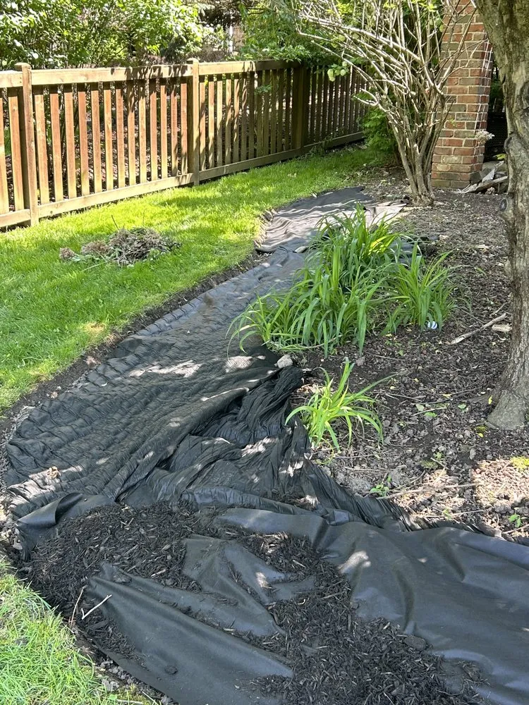 Affordable lawn mowing service experts serving Joliet, IL - Aparicio Landscaping