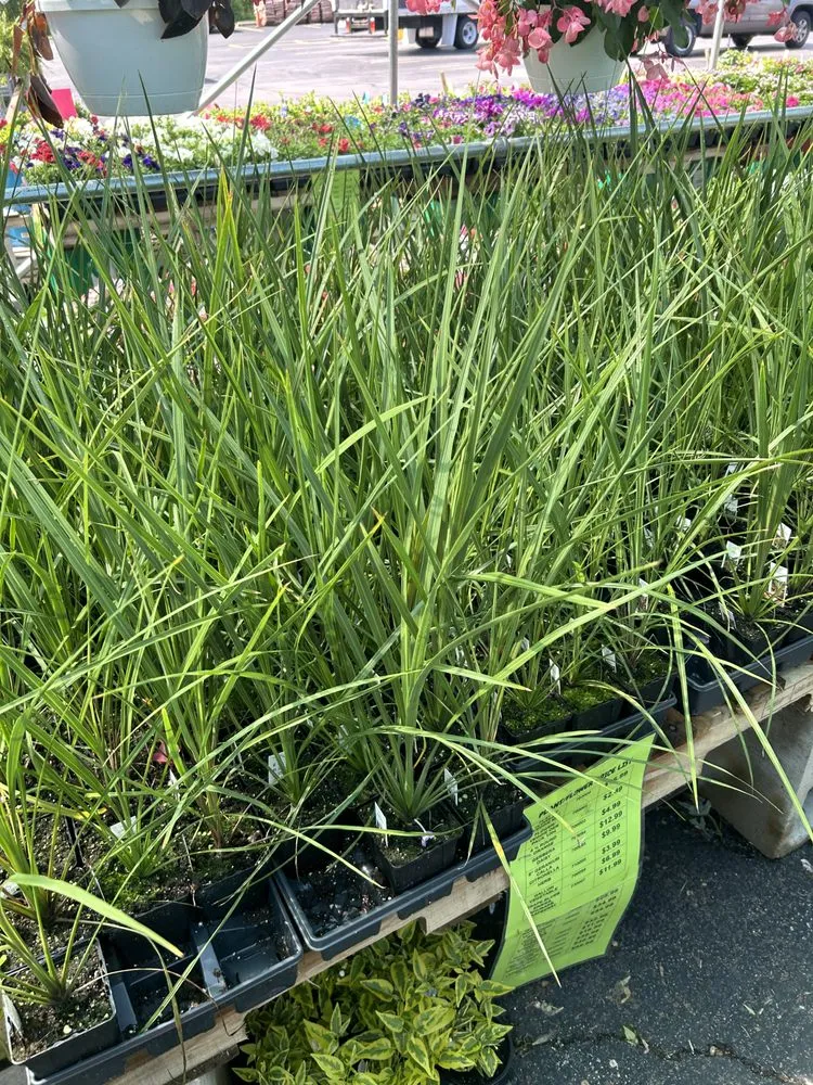 Trusted garden landscaping for outdoor upgrades across Joliet, IL - Aparicio Landscaping