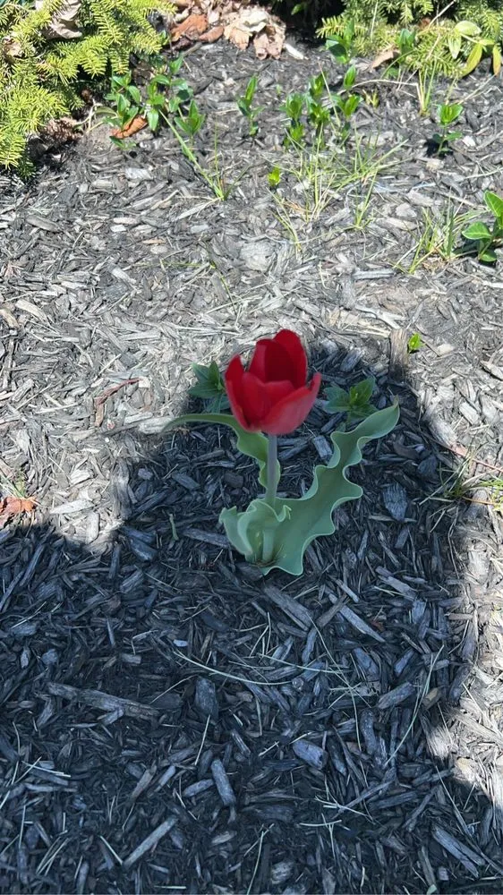 Custom landscaping services for residential properties across Joliet, IL - Aparicio Landscaping