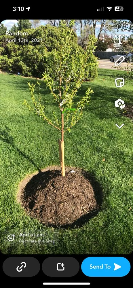 Local garden landscaping in Joliet, IL by Aparicio Landscaping