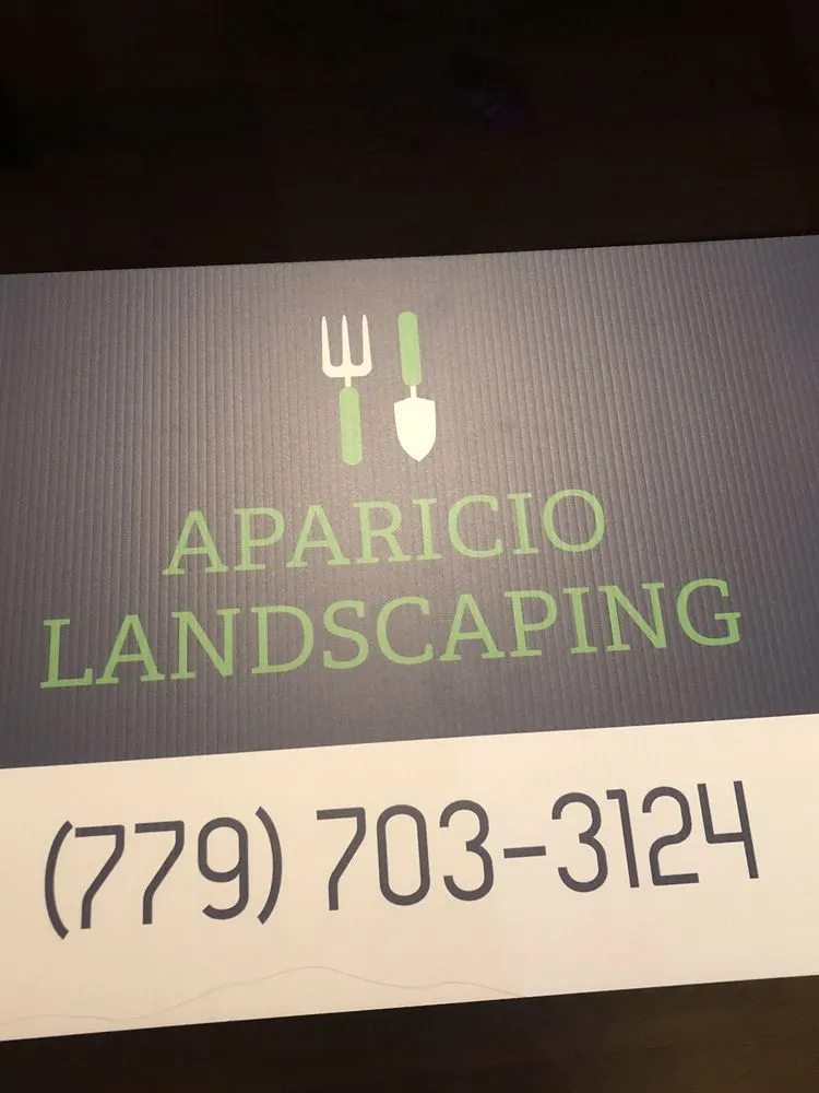 Professional yard cleanup service experts serving Joliet, IL - Aparicio Landscaping