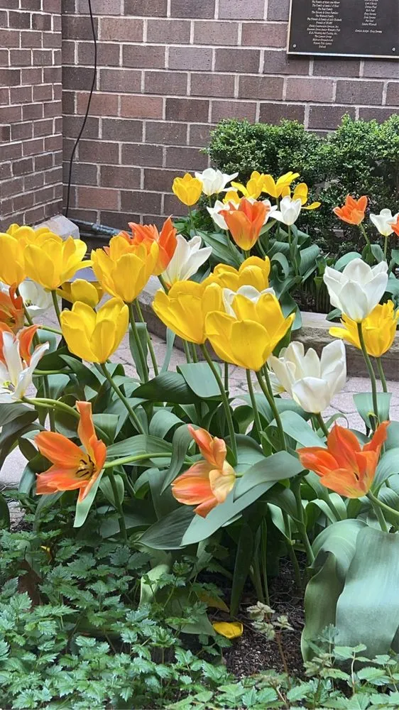 Custom landscaping services experts serving Joliet, IL - Aparicio Landscaping