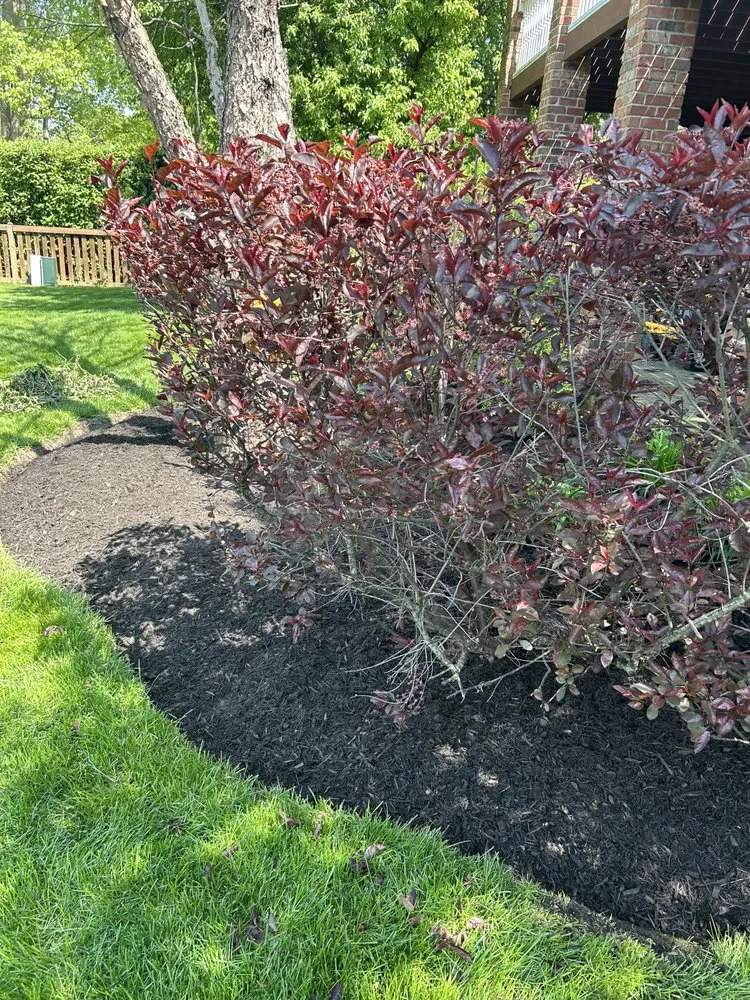 Affordable residential landscaping for homes in Joliet, IL by Aparicio Landscaping