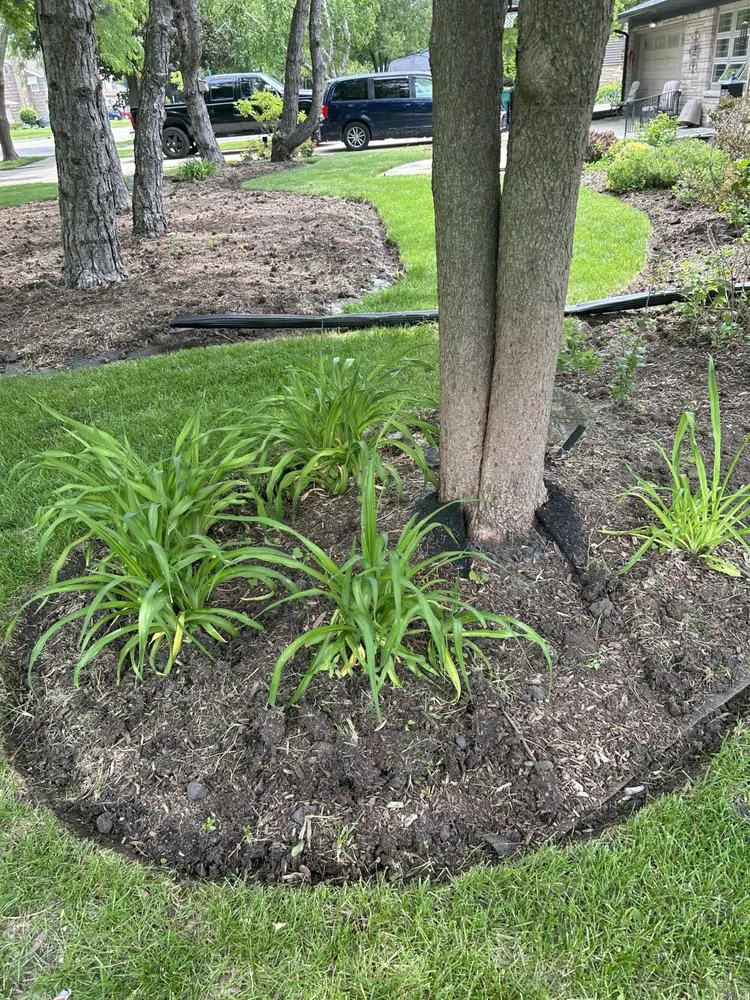 Expert yard cleanup service in Joliet, IL by Aparicio Landscaping
