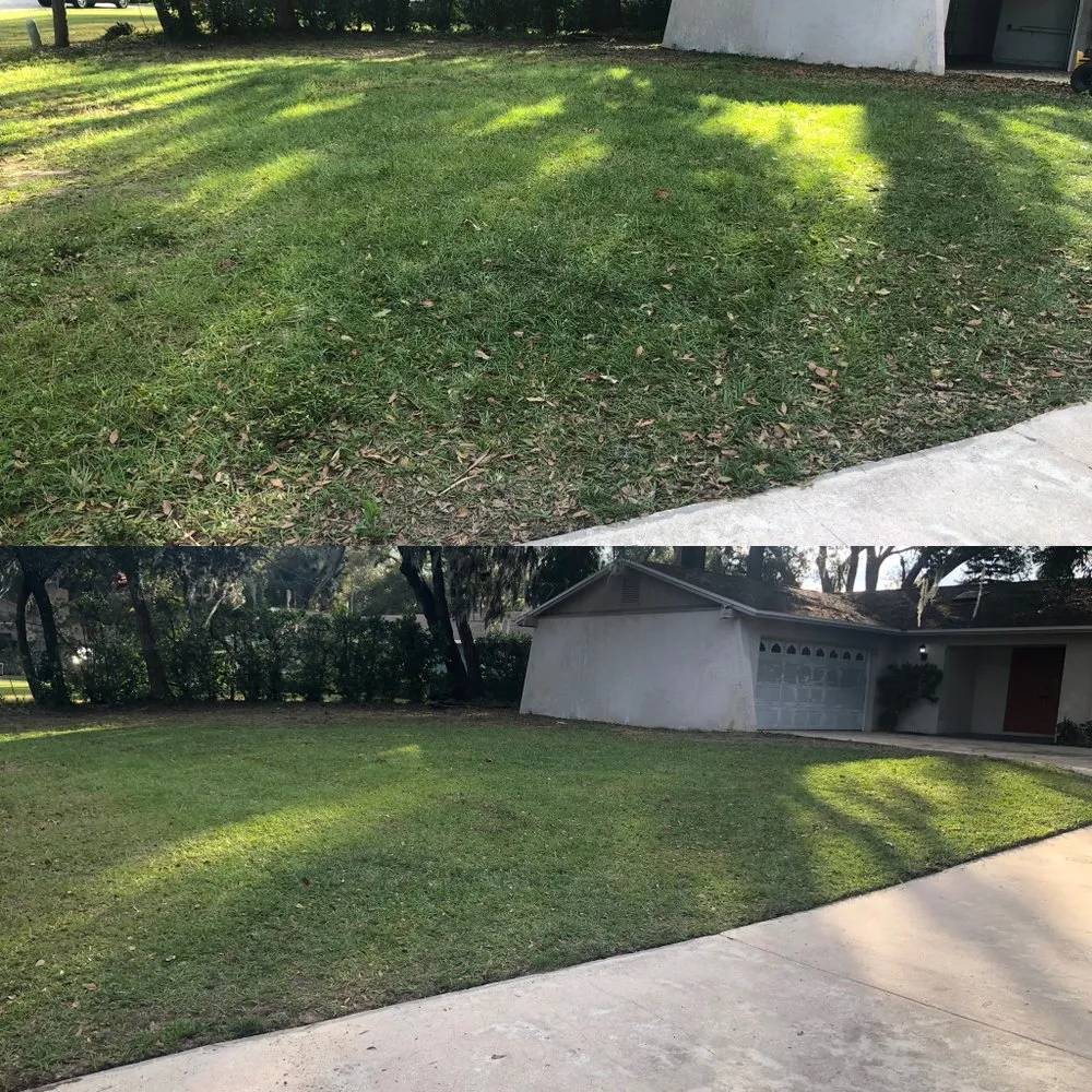 Local yard maintenance in Dover, FL by Aparicio Lawn Care & Landscaping