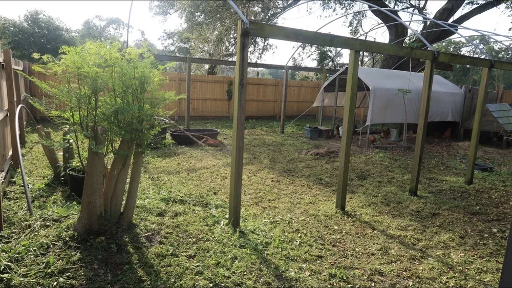 Reliable lawn care service in Dover, FL by Aparicio Lawn Care & Landscaping