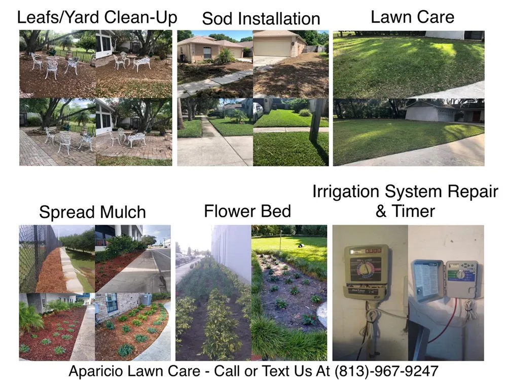 Top-rated yard cleanup service in Dover, FL - Aparicio Lawn Care & Landscaping