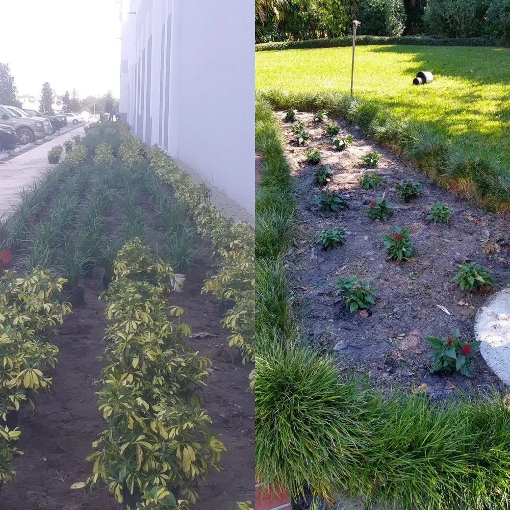 Affordable residential landscaping for year-round maintenance in Dover, FL by Aparicio Lawn Care & Landscaping