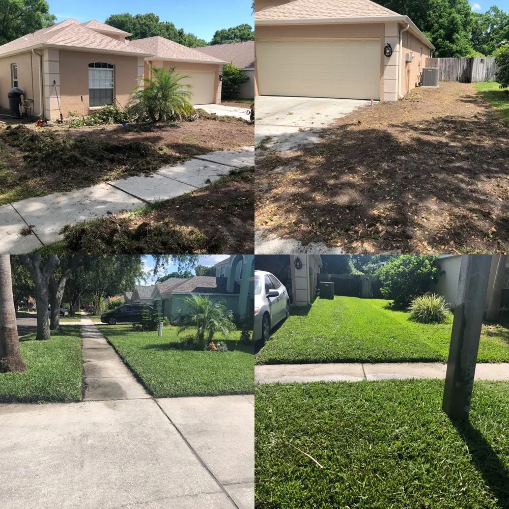 Expert garden landscaping in Dover, FL by Aparicio Lawn Care & Landscaping