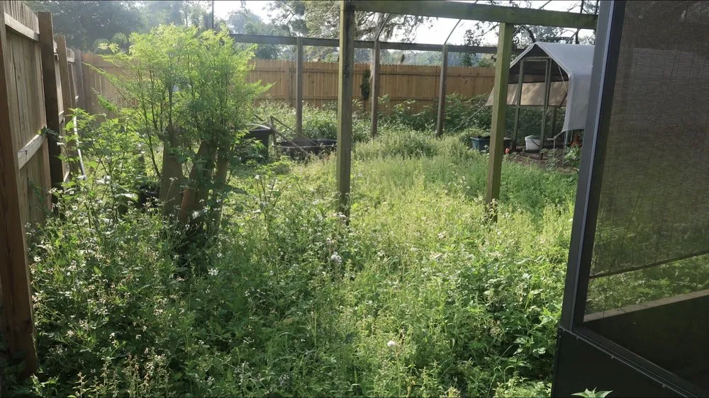 Top-rated outdoor landscaping in Dover, FL - Aparicio Lawn Care & Landscaping