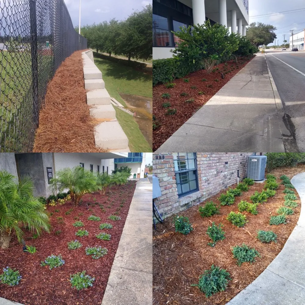 Professional lawn care service in Dover, FL by Aparicio Lawn Care & Landscaping