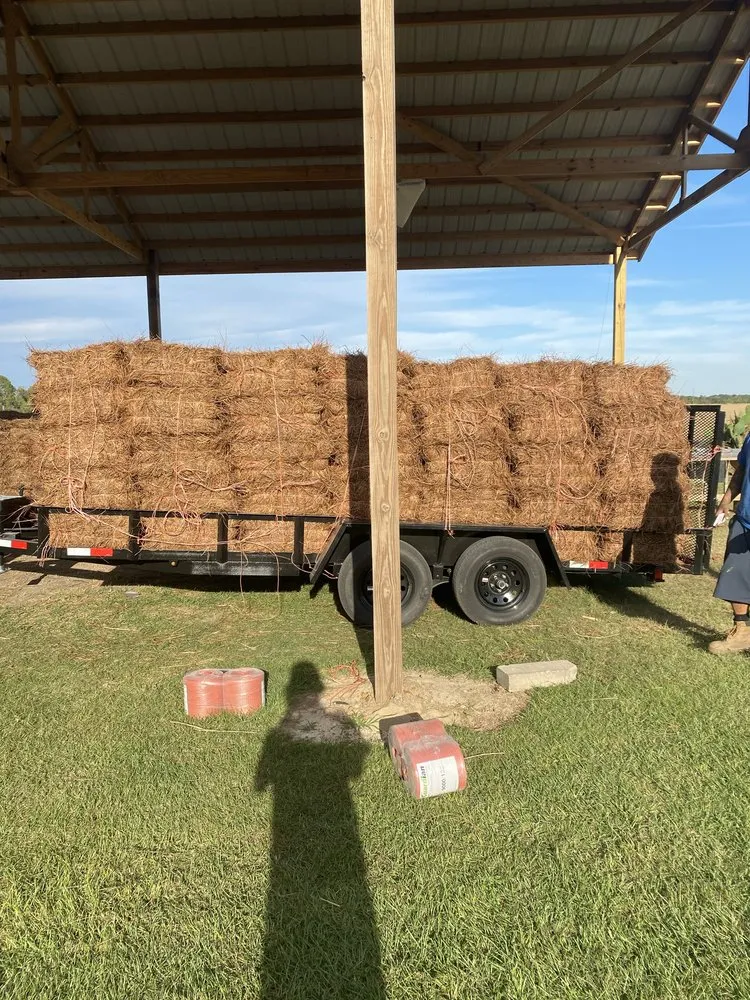 Trusted yard cleanup service in Cobbtown, GA by Aparicio Pinestraw