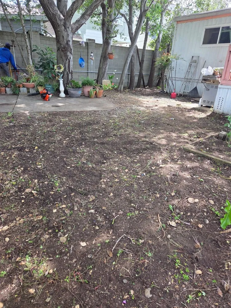 Expert residential landscaping for residential properties across Vallejo, CA - Aparicio's Landscaping