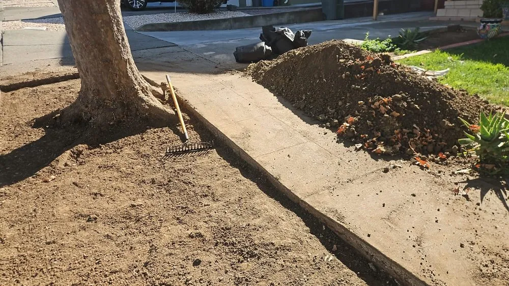 Professional landscape design in Vallejo, CA - Aparicio's Landscaping