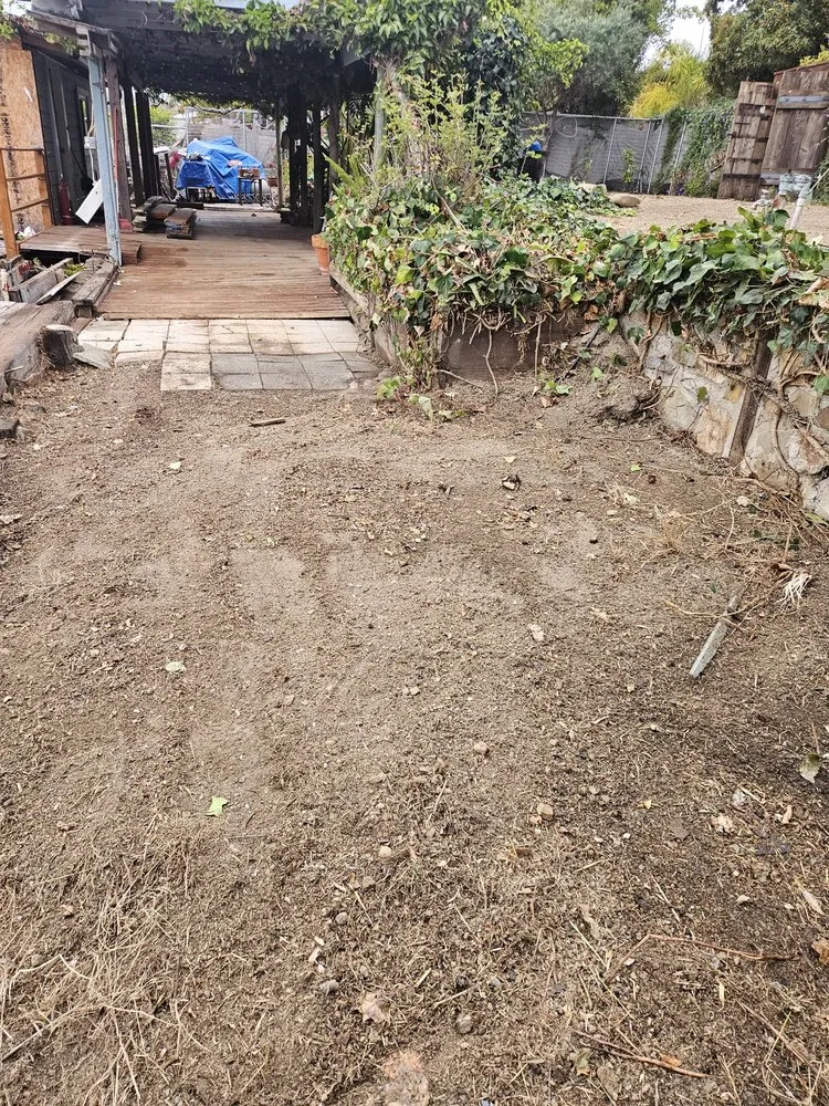 Trusted yard maintenance for year-round maintenance in Vallejo, CA by Aparicio's Landscaping