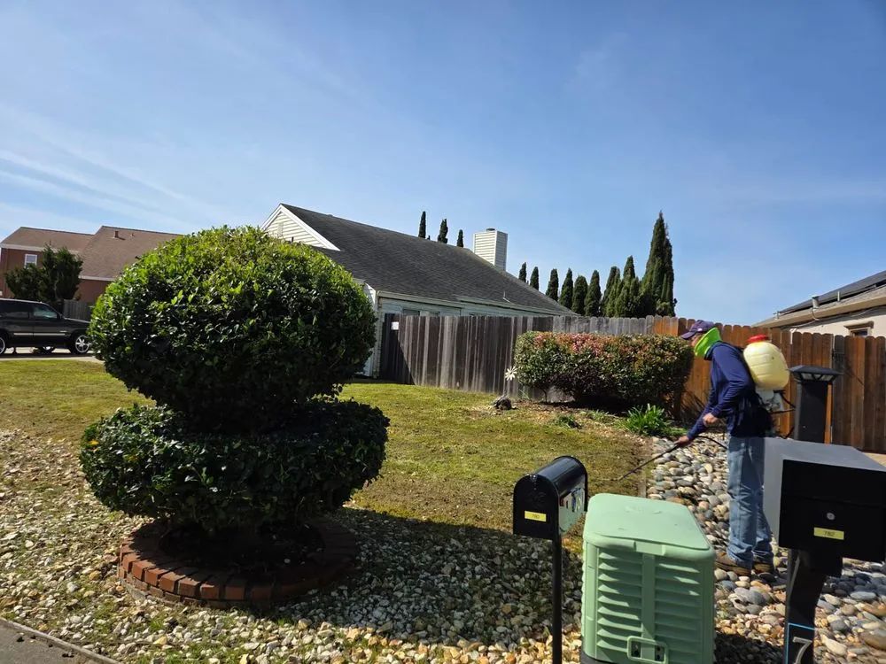 Reliable garden landscaping for outdoor upgrades across Vallejo, CA - Aparicio's Landscaping