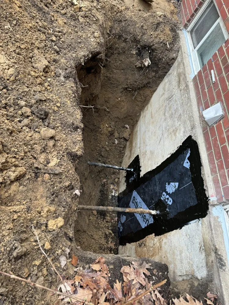 Professional yard cleanup service for year-round maintenance in Falls Church, VA by APD Landscape