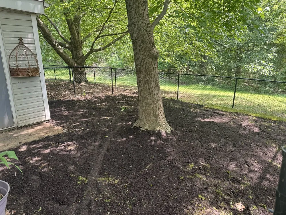 Top-rated lawn care service in Falls Church, VA - APD Landscape