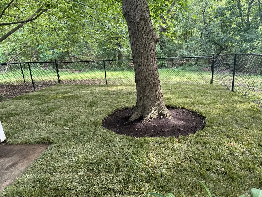 Professional garden landscaping in Falls Church, VA - APD Landscape