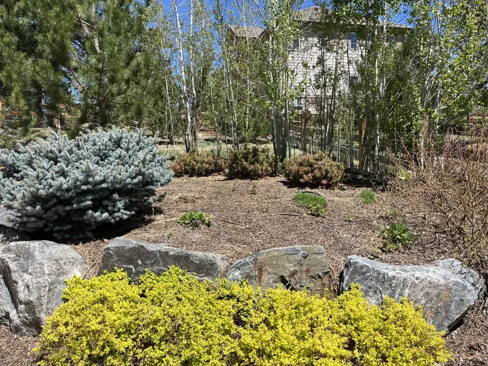 Local outdoor landscaping experts serving Aurora, CO - APD Landscaping