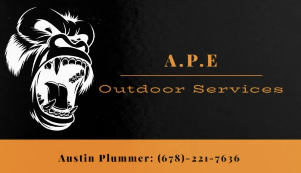 Expert yard cleanup service for beautiful yards across Cartersville, GA - APE Outdoor Services