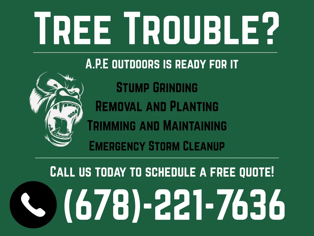 Top-rated landscaping services in Cartersville, GA - APE Outdoor Services