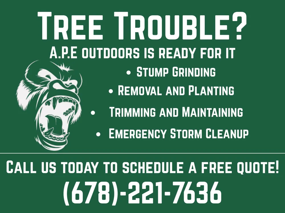 Custom yard maintenance for residential properties in Cartersville, GA by APE Outdoor Services