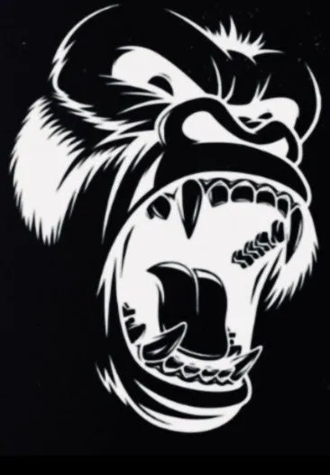 Reliable outdoor landscaping in Cartersville, GA - APE Outdoor Services