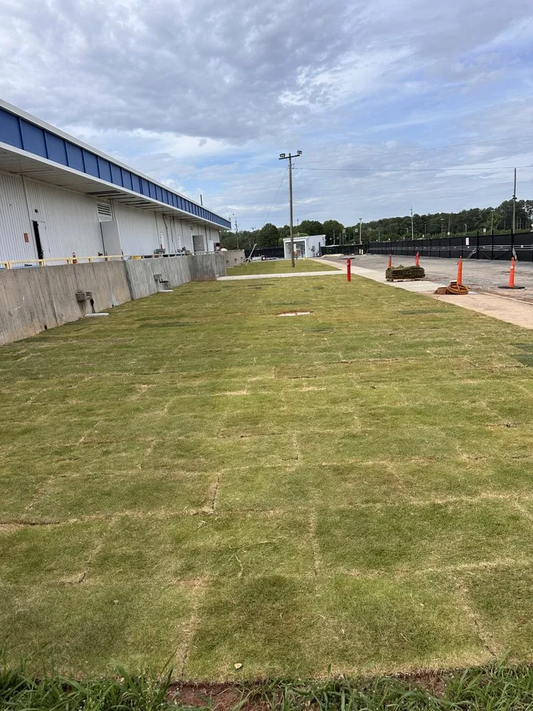 Affordable yard maintenance experts serving Cartersville, GA - APE Outdoor Services