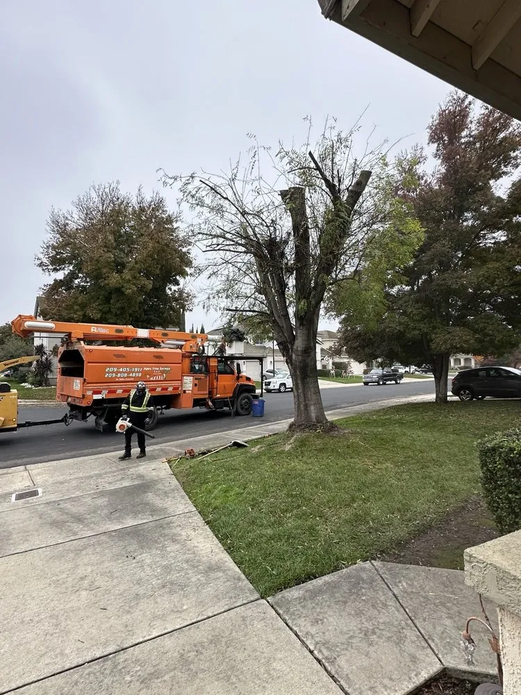 Expert landscape installation for beautiful yards across Stockton, CA - Apes Tree Service And Landscaping