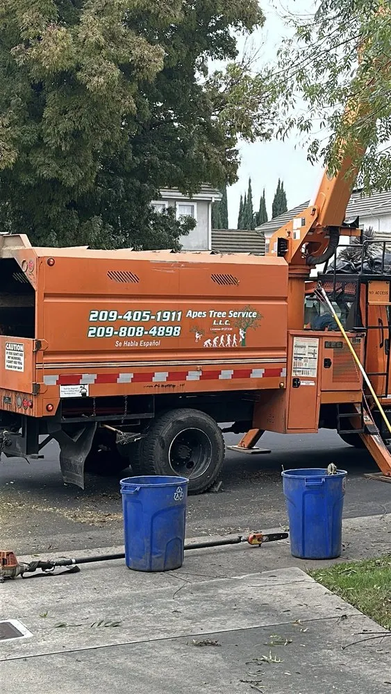 Trusted landscaping services for beautiful yards across Stockton, CA - Apes Tree Service And Landscaping
