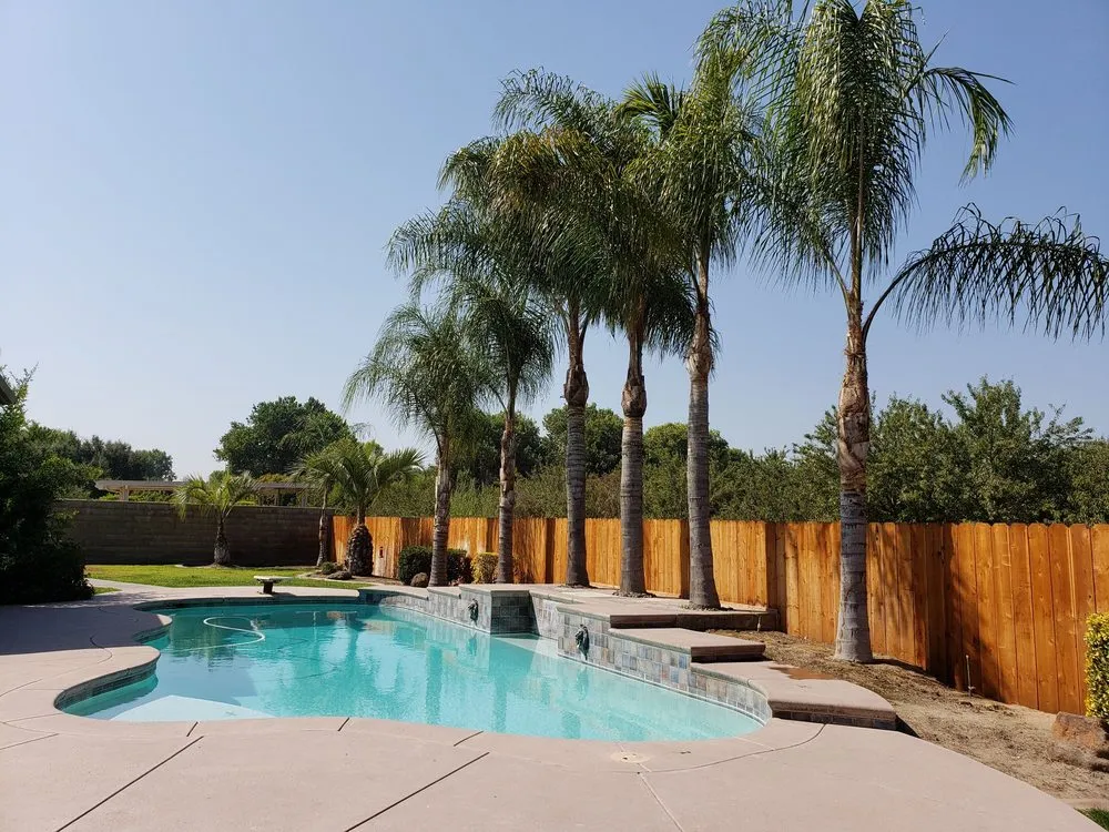 Reliable yard cleanup service for year-round maintenance in Stockton, CA by Apes Tree Service