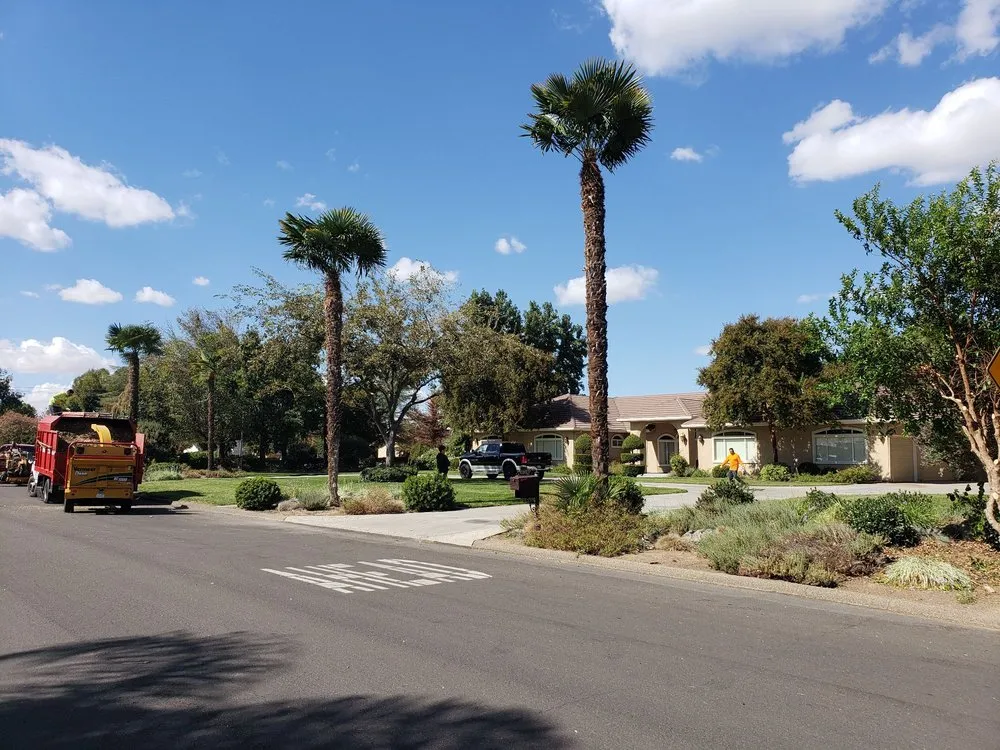 Custom landscaping services experts serving Stockton, CA - Apes Tree Service